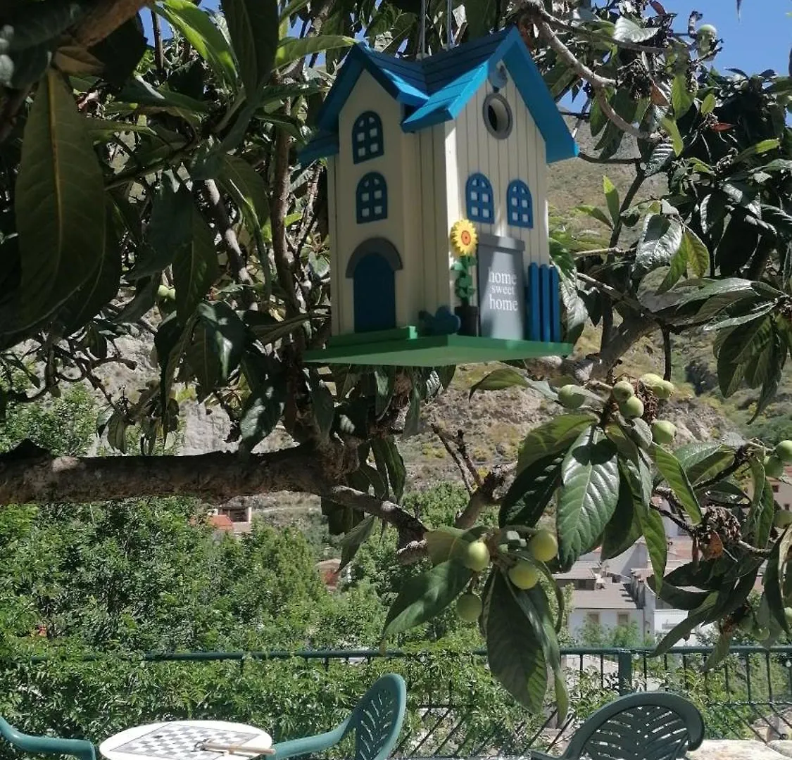皮诺斯基尼尔La Casa De La Abuela公寓 公寓 皮诺斯基尼尔