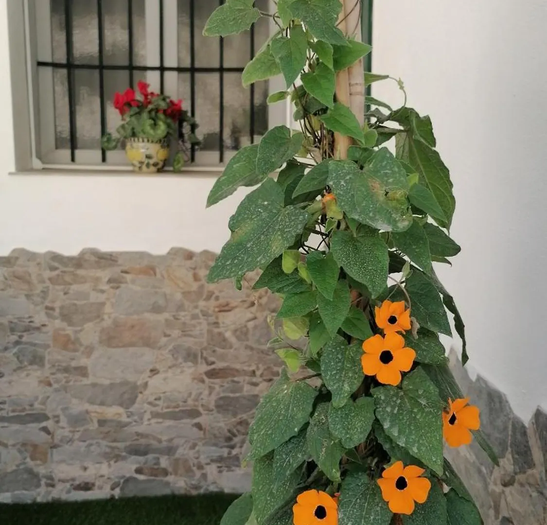 La Casa De La Abuela Apartment Pinos Genil Spain